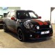 MINI PACEMAN