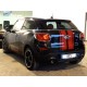 MINI PACEMAN