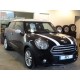 MINI PACEMAN